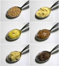 Variations of mustard.